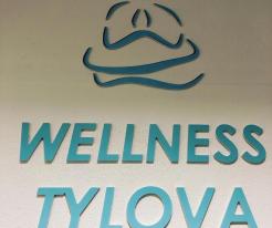 Wellness Tylova/Fitness